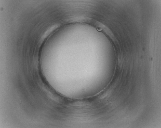 X0000076250578200610122207