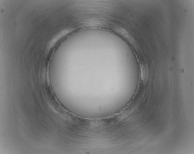 X0000076250579200610122207