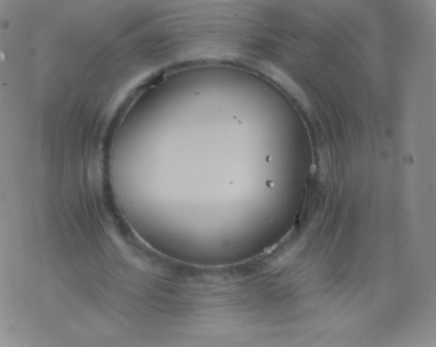 X0000076250580200610122207