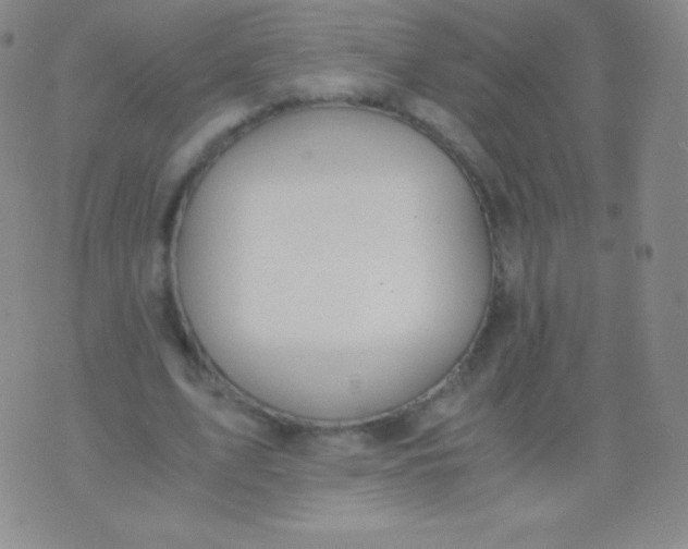 X0000076250583200610122207