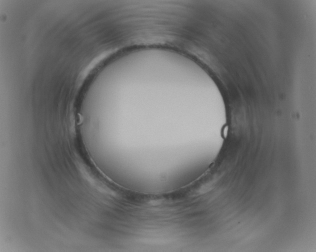 X0000076250584200610122207