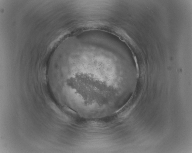 X0000076250585200610122207