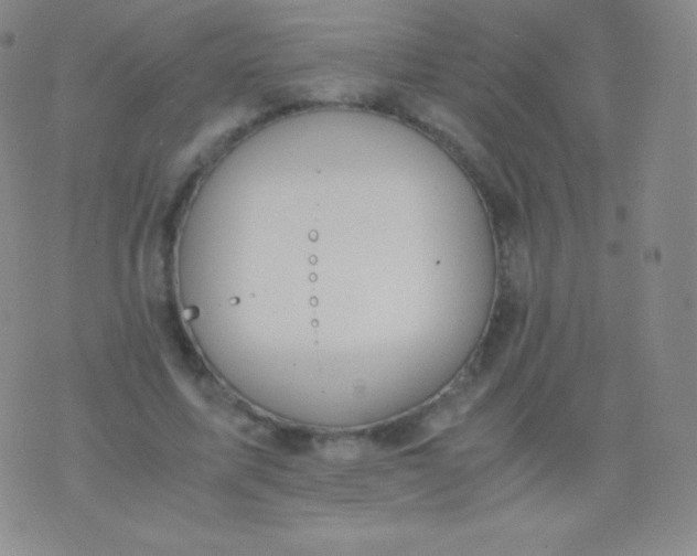 X0000076250587200610122207