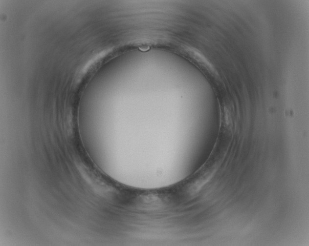 X0000076250588200610122207