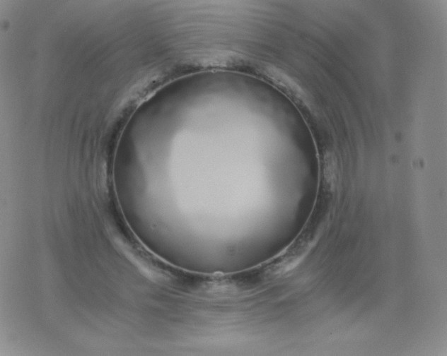 X0000076250589200610122207