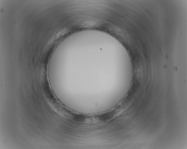 X0000076250591200610122207