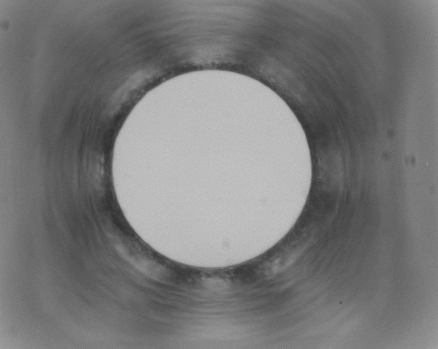 X0000076250592200610122207