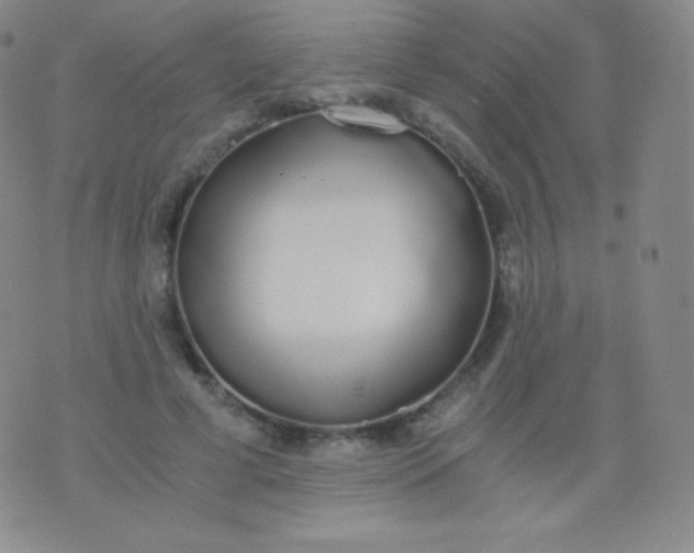 X0000076250593200610122207