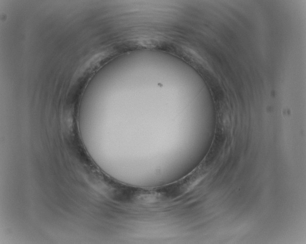 X0000076250595200610122207