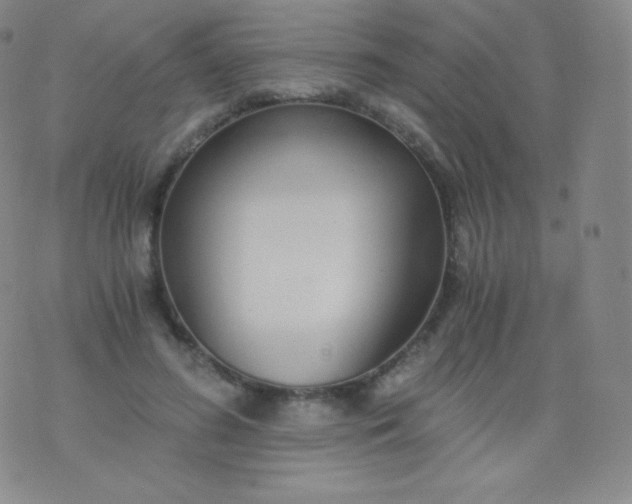 X0000076250596200610122207