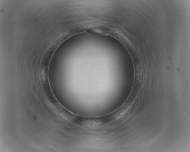 X0000076250597200610122207