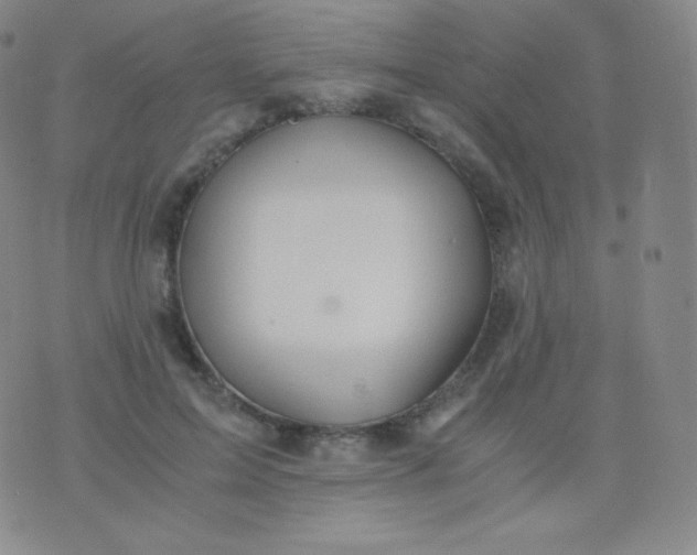 X0000076250599200610122207