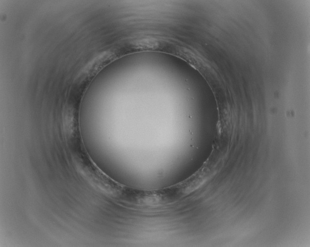 X0000076250600200610122207