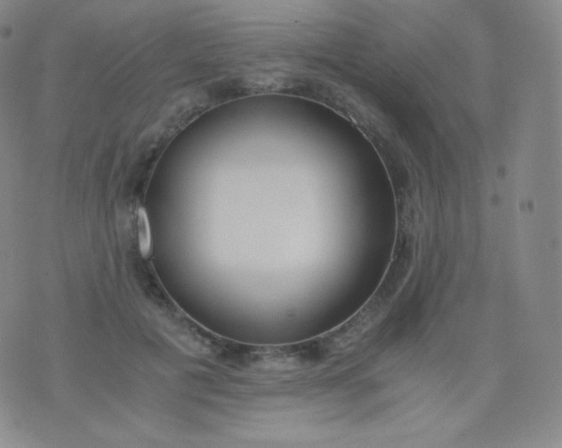 X0000076250601200610122207