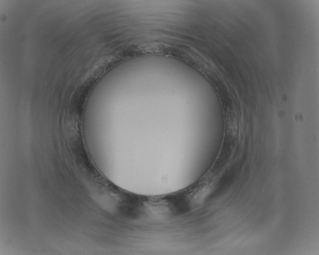 X0000076250603200610122207