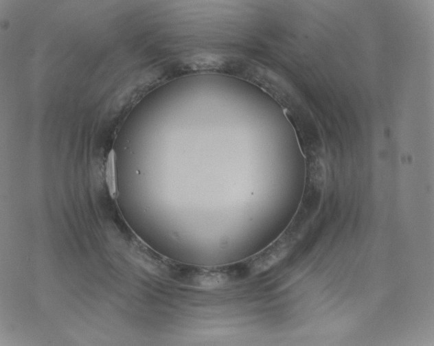 X0000076250604200610122207