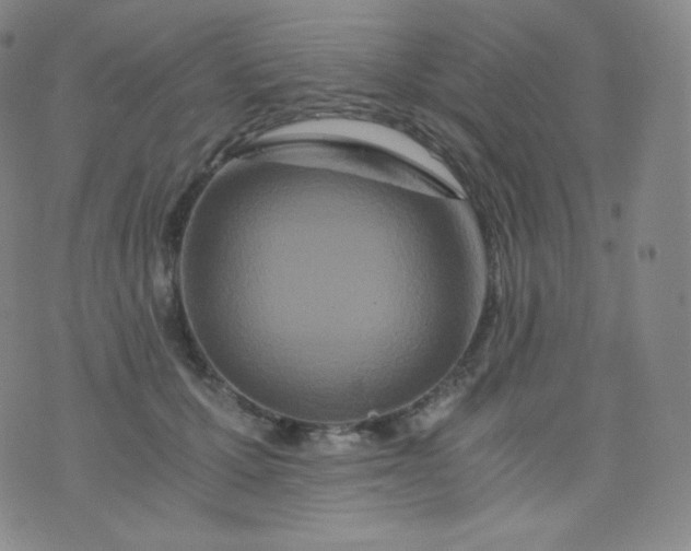 X0000076250607200610122207