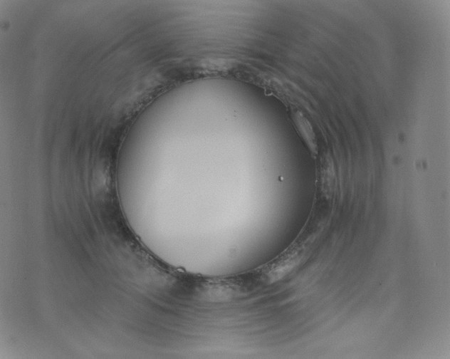 X0000076250608200610122207