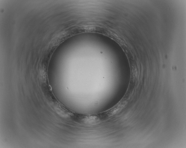 X0000076250609200610122207