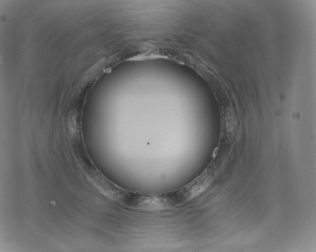 X0000076250611200610122207