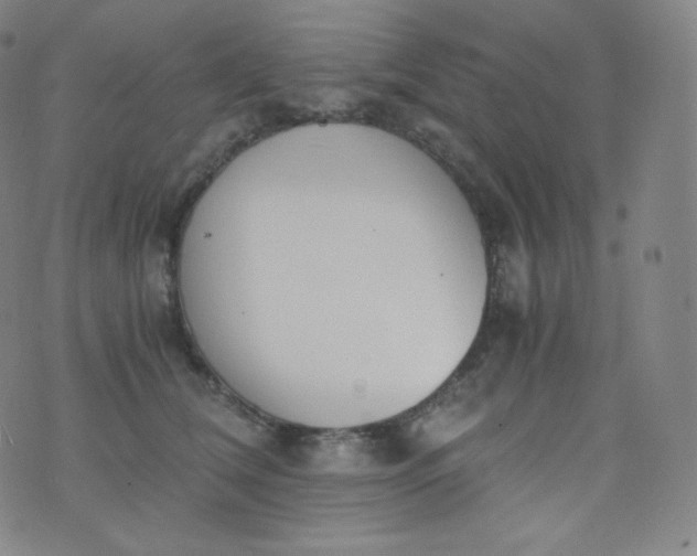 X0000076250612200610122207