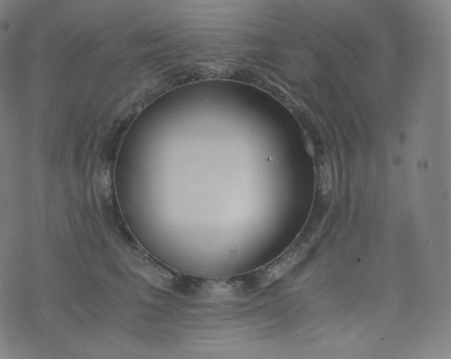 X0000076250613200610122207