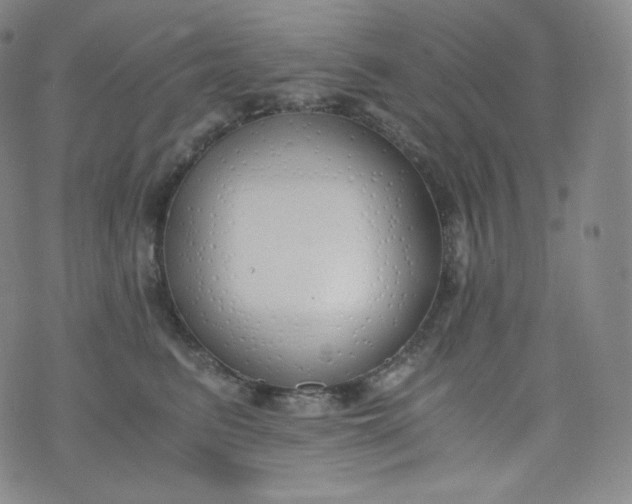 X0000076250615200610122207