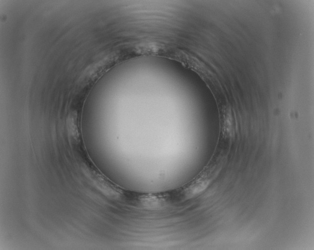 X0000076250616200610122207