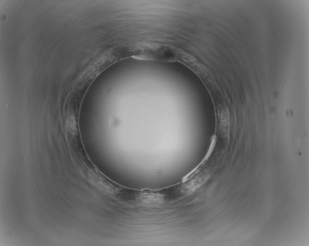 X0000076250617200610122207