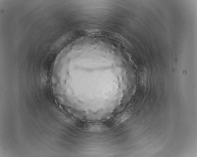 X0000076250618200610122207