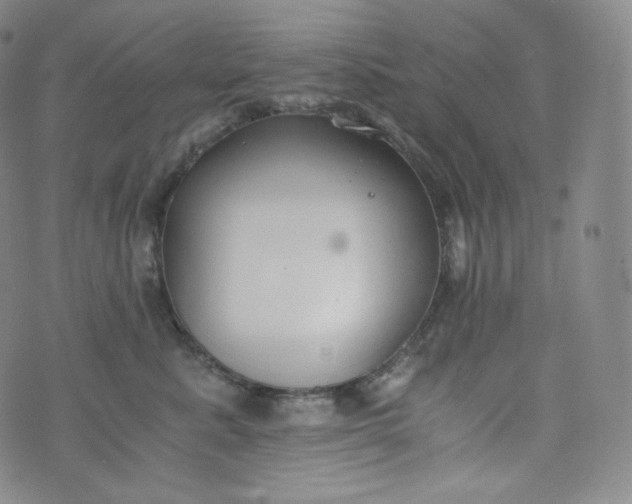 X0000076250619200610122207