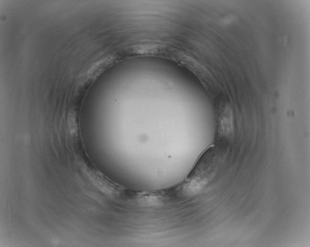 X0000076250620200610122207