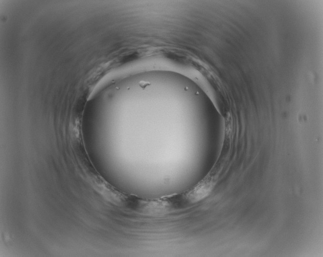 X0000076250621200610122207