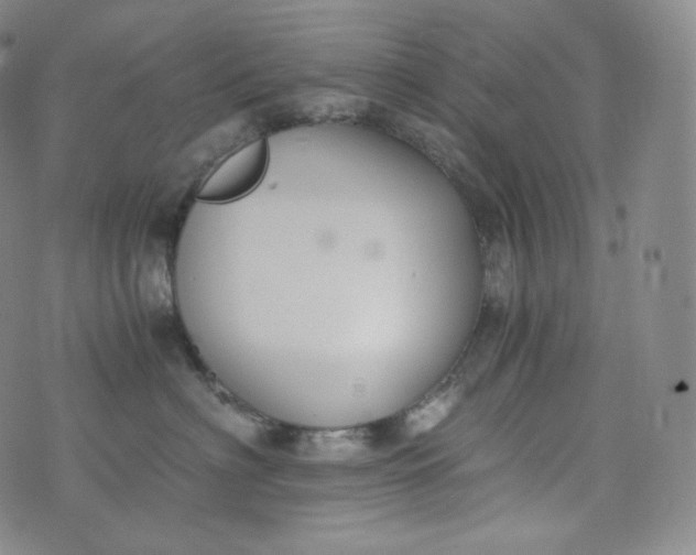 X0000076250622200610122207