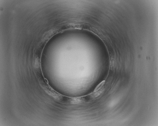 X0000076250623200610122207