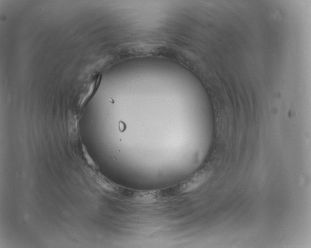 X0000076250624200610122207