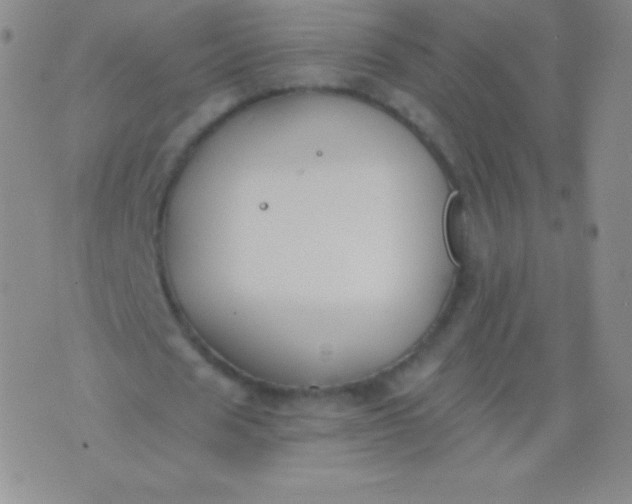 X0000076250625200610122206