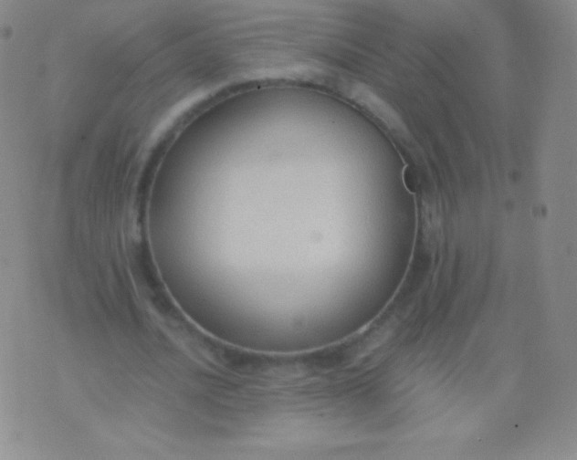 X0000076250628200610122206