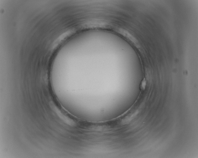 X0000076250629200610122206