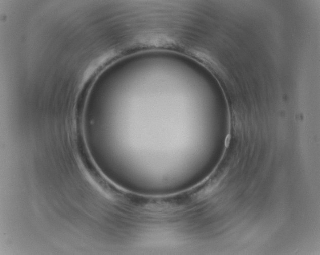 X0000076250630200610122206