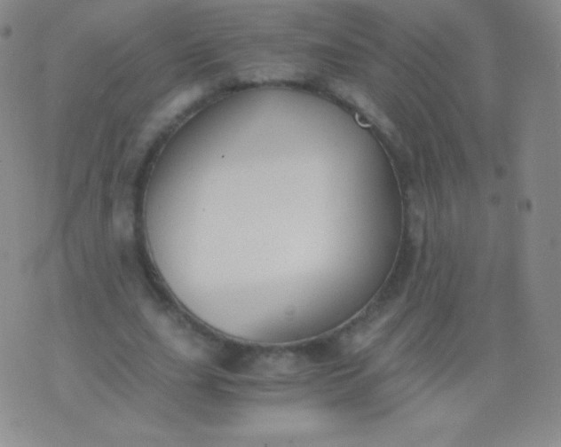 X0000076250631200610122206