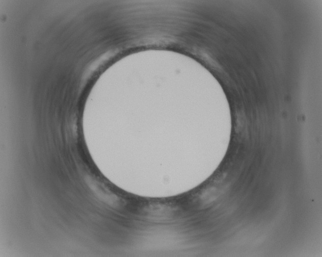 X0000076250632200610122206