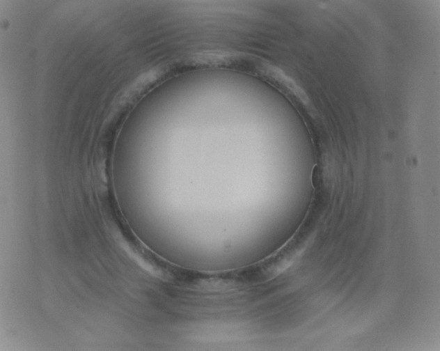 X0000076250633200610122206