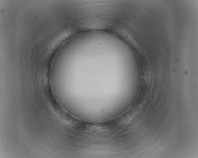 X0000076250635200610122206