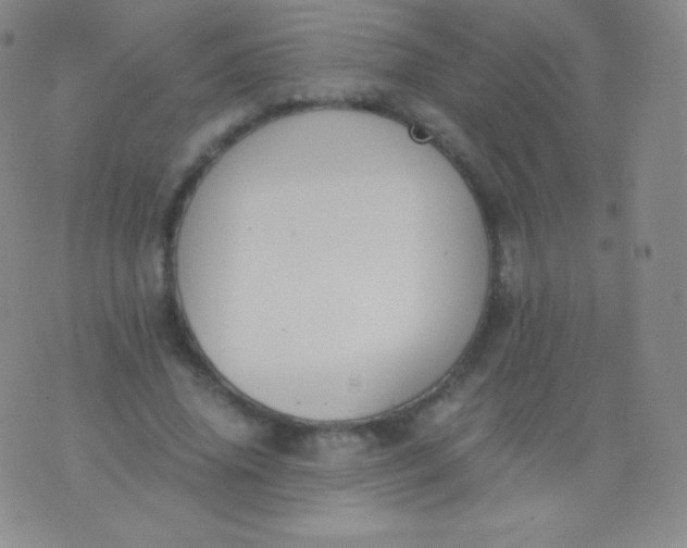 X0000076250636200610122206