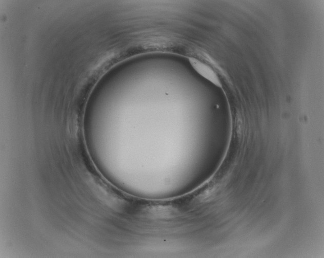 X0000076250637200610122206