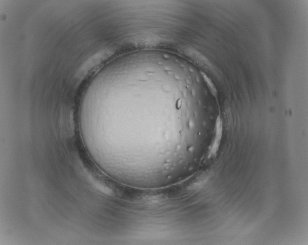 X0000076250638200610122206