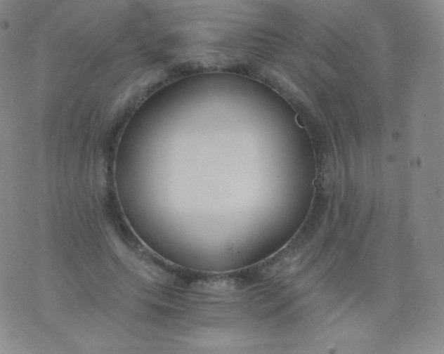 X0000076250639200610122206