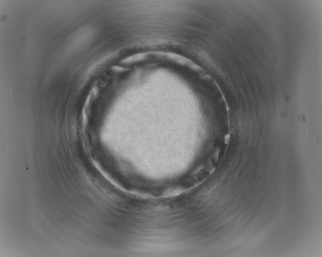 X0000076250640200610122206