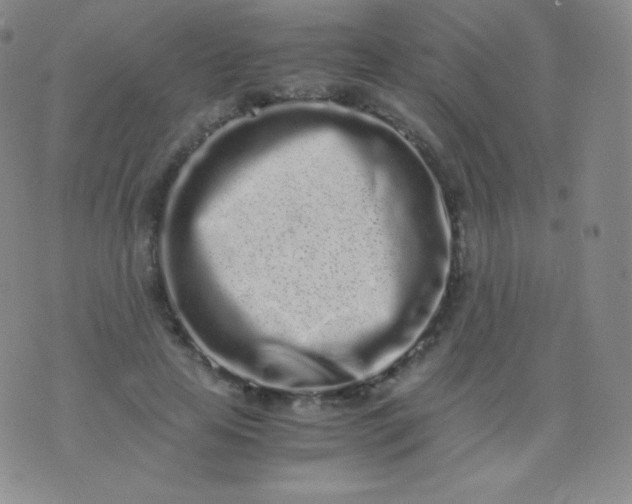 X0000076250641200610122206